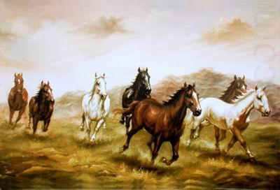 unknow artist Horses 03 china oil painting image